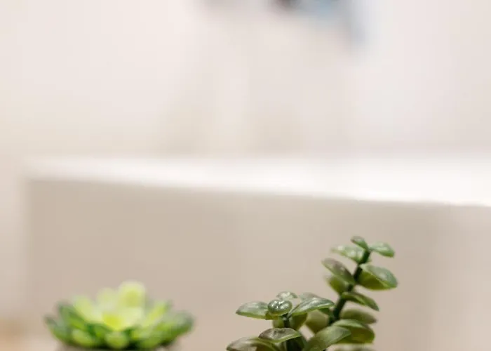 - Cozy - Stare - K17 *